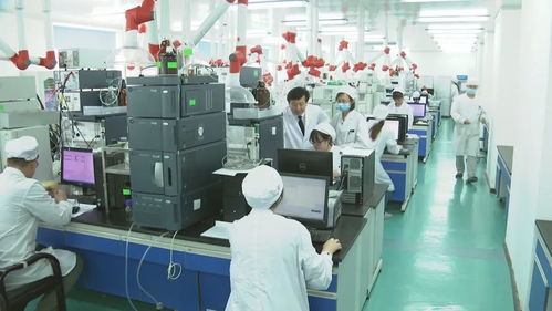 吉林創(chuàng)新指數(shù)躍升全國第一，科技強(qiáng)國戰(zhàn)略下的東北振興新篇章