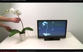 環(huán)球時(shí)訊 網(wǎng)絡(luò)科技與計(jì)算機(jī)的融合創(chuàng)新與未來展望